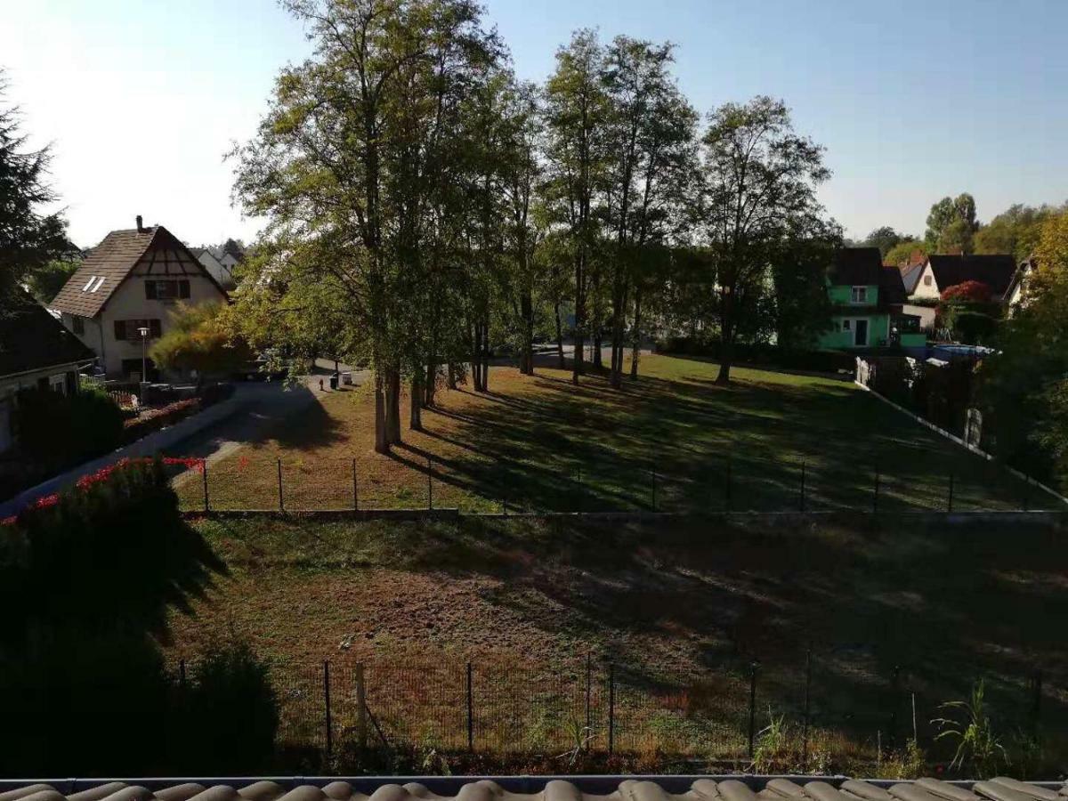 Appart Les Cerises Entre Strasbourg Et Haguenau ビシュヴィレール エクステリア 写真